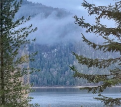 Стандарт в Телецкое Золотое