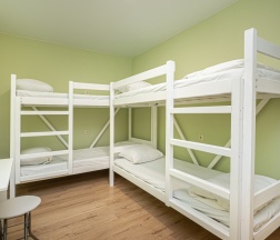 Четырехместный номер в Vavilov hostel