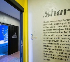 Кровать в общем номере в Monkey Dive Hostel Khaolak