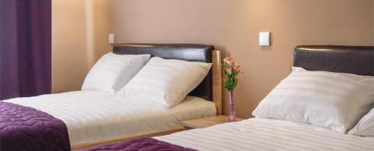 Семейный 4-х с камином и проекционным дизайном в Ring Road Hotel