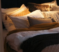 Лодж 1 с бесплатной сауной + Безлимитное посещение ЕлятыПарка в ЕлятыЛодж