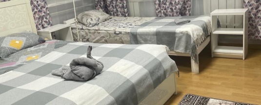 Семейный номер эконом в Сканди