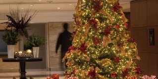 Мехико: Отель Sheraton Maria Isabel Mexico City Reforma