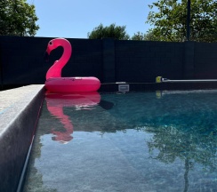 Шале Люкс в Белые ночи