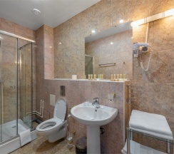 Люкс/Luxe Double Room (двухкомнатный номер с одной двуспальной кроватью) в Воронеж