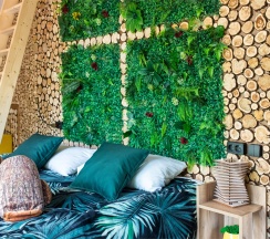 6 сфера "Джунгли" в Багио