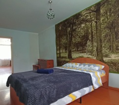 2-комнатные апартаменты стандарт Карла Маркса 45 в Rusdom Sweet Apartments (Русдом Свит) на улице Карла Маркса
