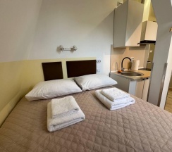 2-местный 1-комнатный номер студия стандарт (мансарда) в Апарт-отель