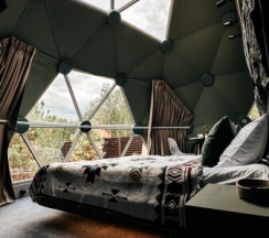 Купол №1 Зеленый (2 взрослых максимум + 2 детей) в Barkwood