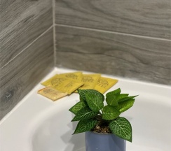 Студия на Яганова 9/3 в Magicapartment