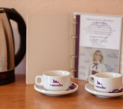 Стандартный двухместный номер с двумя раздельными кроватями в Брусника