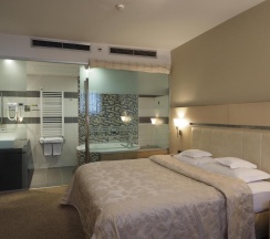 Двухместный люкс Superior в In Hotel Belgrade