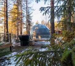 Купол «Карельский лес» в Aldi-Karelia