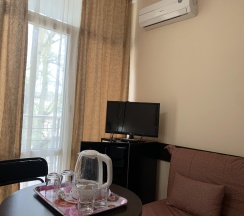 Номер стандарт с 1 двуспальной кроватью в Спарта