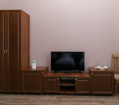 Стандарт 103 в Никольский