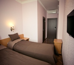 Двухместный номер Standard двуспальная кровать в Лион