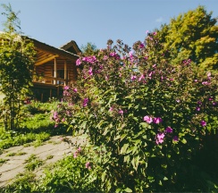 VIP-Кедр в Ярославна