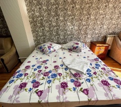 Номер улучшенный семейный в Дом туриста