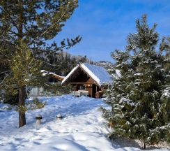 Деревенский домик эконом в Лесная сказка