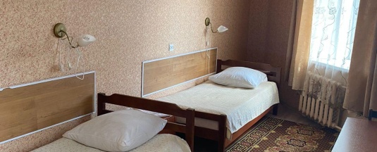 Номер эконом стандарт с 2 односпальными кроватями в Шелонь