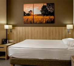 SUPERIOR одноместный (7,8 корпус) в Амакс Курорт Новая Истра