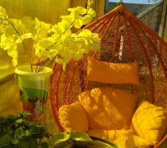 Люкс  в Востряково