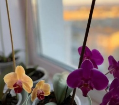 Квартира в Апартаменты на 7-й мкр улица, 25 (8 этаж)