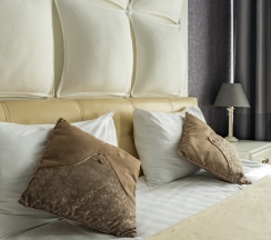 Улучшенный номер в Невский дом