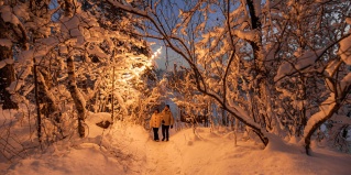 Мельниково: Турбаза Уютные Ёлы