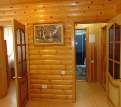 Номер Deluxe в Спутник