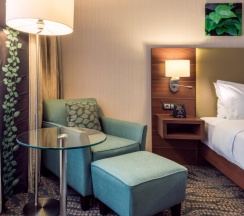 Двухместный номер Standard двуспальная кровать в Hilton Garden Inn Astana