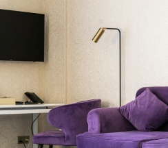 Двухместный номер Deluxe с красивым видом из окна 2 отдельные кровати в Orient Hotel Bishkek (Ориент отель Бишкек)