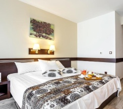 Двухместный номер Standard двуспальная кровать в Grami Hotel Sofia