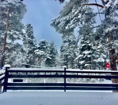 (А1) 2-х уровневый А-фрейм в Таулу Архыз