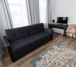 Делюкс 206 в Никольский