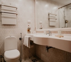 Стандартный двухместный номер с 1 кроватью в Ring Premier Hotel