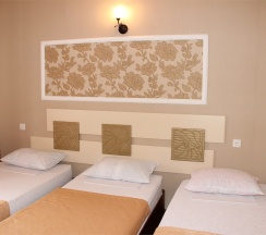 Трехместный номер в Премьер