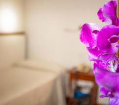 Одноместный номер Standard в Hotel Blumen