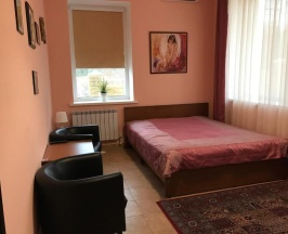 Номер стандарт с 1 двуспальной кроватью в Слобода