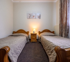 Twin в Саратовский