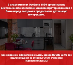 Апартаменты студио с диваном улучшенные в Особняк 1830 на Съезжинском
