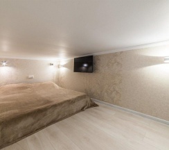 Двухуровневая комната стандарт с 1 двуспальной кроватью в Samsonov Hotels