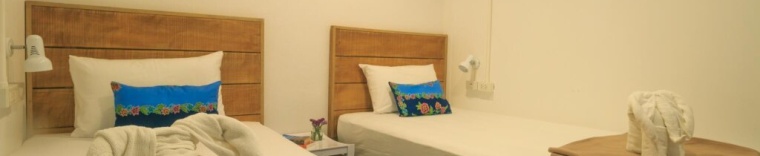 Двухместный номер Standard 2 отдельные кровати в Frog House Bed & Breakfast - Adults Only - Hostel