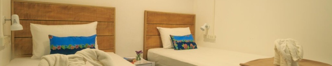 Двухместный номер Standard 2 отдельные кровати в Frog House Bed & Breakfast