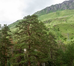Люкс в Крокус