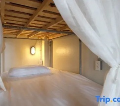 Кровать в общем номере в bloo Hostel