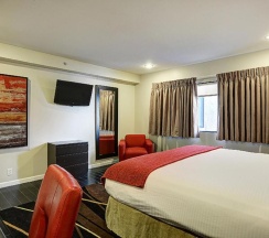 Двухместный номер Standard двуспальная кровать в Shelter Hotel Los Angeles