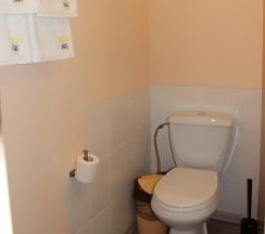 Номер люкс с 1 двуспальной кроватью в Триумф