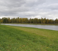 Квартира в Апартаменты на Металлострой, ул. Центральная д.19 корп.3