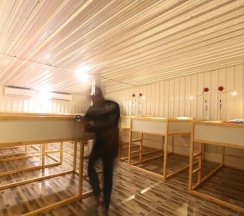 Кровать в общем номере в Blue Jasmine Hostel